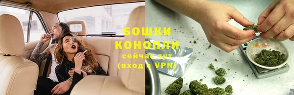 дживик Дмитров