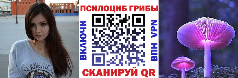 Купить закладки  Игарка  Псилоцибиновые грибы Cubensis 